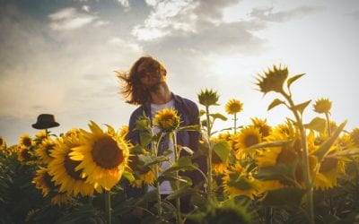 How Do Lawyers Dismiss Traffic Tickets